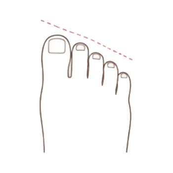 Pied égyptien