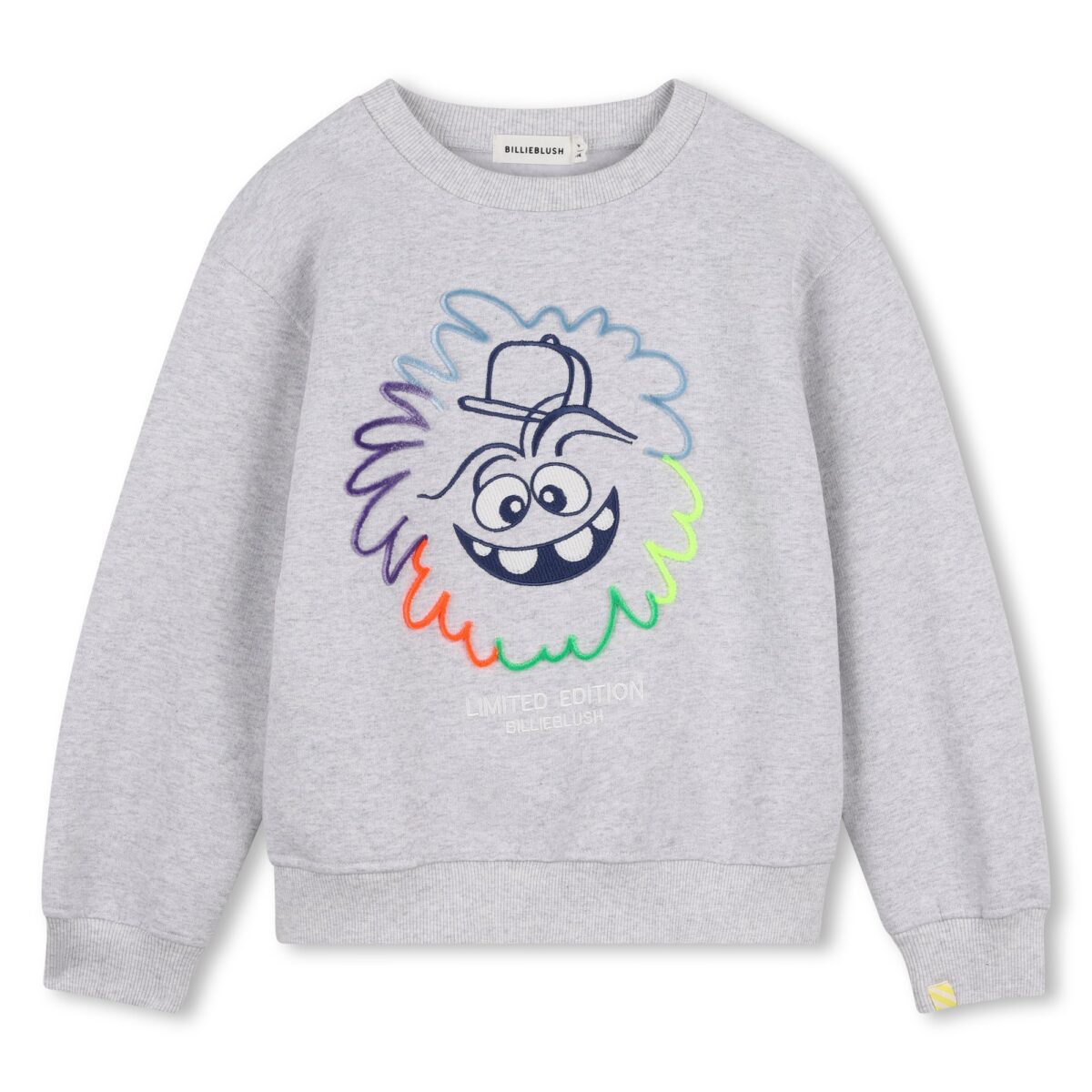 SWEAT MONSTRE GRIS